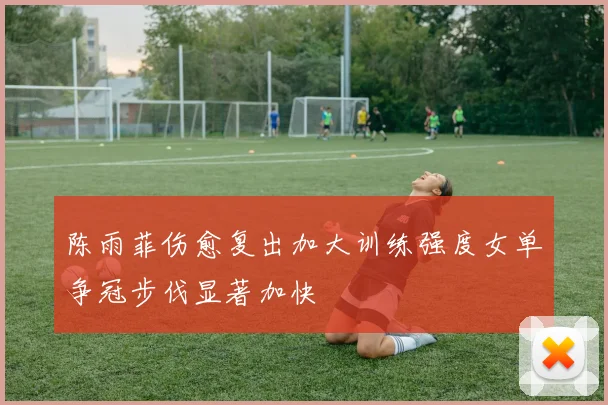 陈雨菲伤愈复出加大训练强度女单争冠步伐显著加快